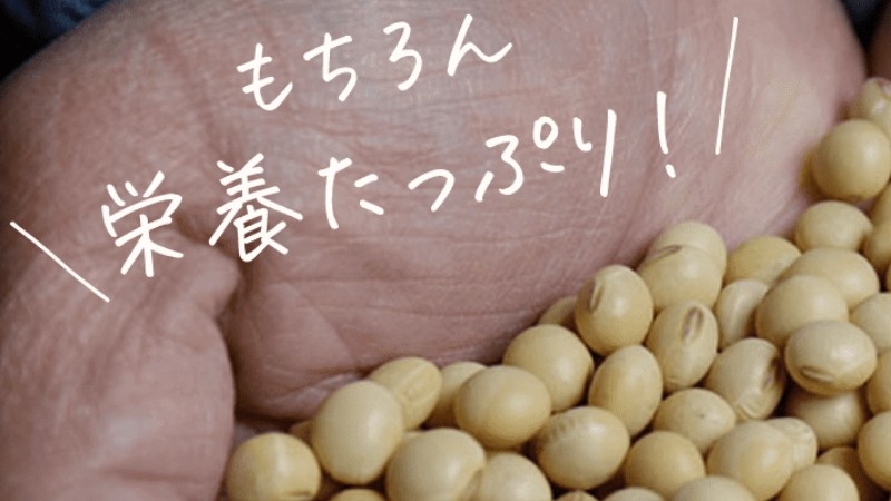 �����̂��߂̃v���e�C���y���̊��S���e�H�z���T�C�g